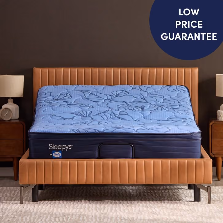 Low Price Guarantee. Shop Queen beds under $500.